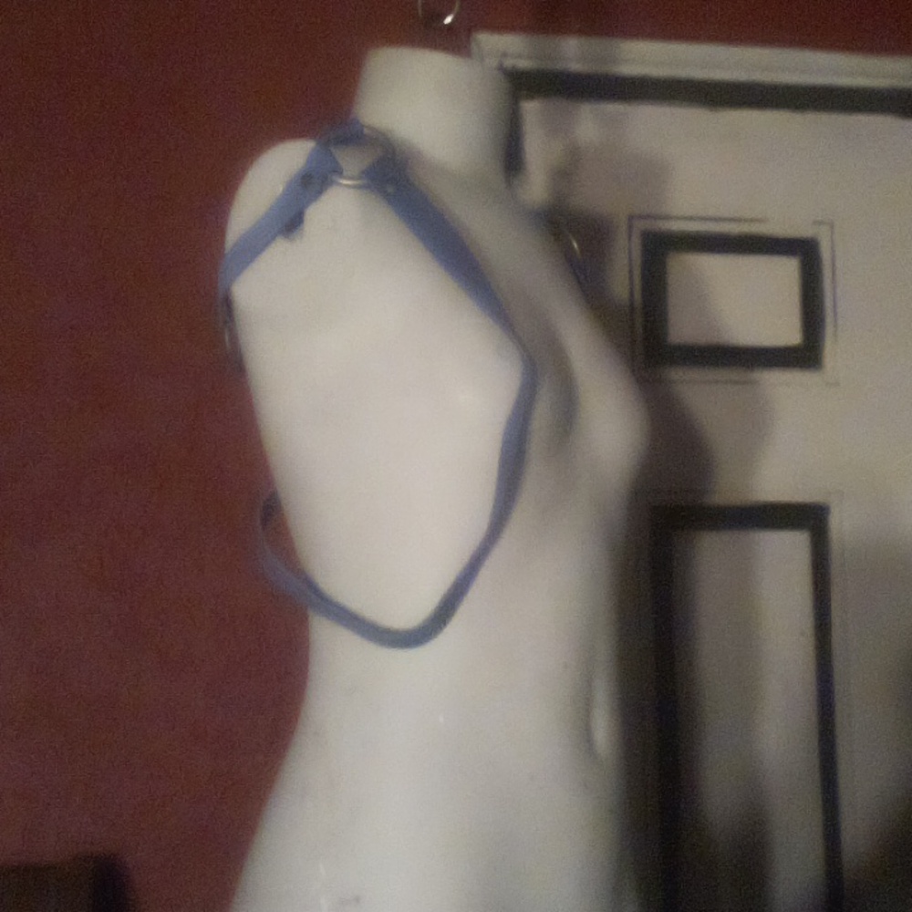 Free people harness